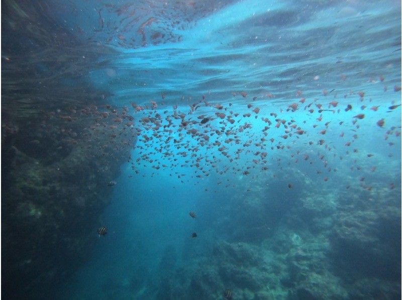 [Okinawa Blue Cave] Beach Blue Cave Snorkeling ☆ Great Value! Shower, Parking, and Facility Use Free! Free GoPro Photos ☆ Beginners are welcome!の紹介画像