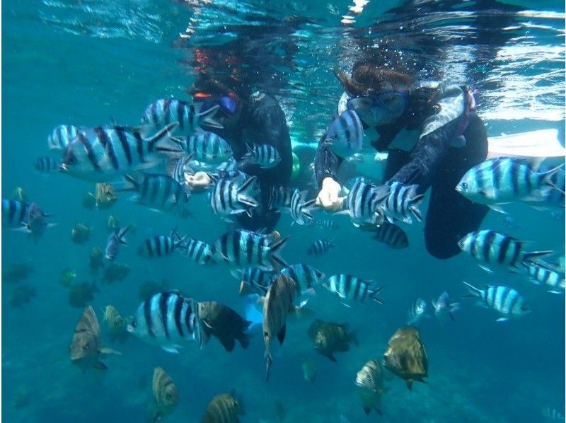 【沖縄・青の洞窟】ビーチ青の洞窟シュノーケル☆超得！シャワー代・駐車場料金・施設利用料無料！GoPro写真無料プレゼント☆初心者の方も安心♬の紹介画像