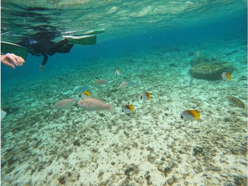 [Okinawa Blue Cave] Beach Blue Cave Snorkeling ☆ Great Value! Free Parking and Facility Use! Free GoPro Photos and Videos ☆ Beginners are also welcome ♬の紹介画像
