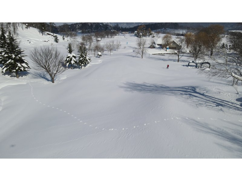 【長野・木島平村】午後からスノーシュー　初めての雪上散歩に最適! スノーリゾートロマンスの神様から「やまびこの丘公園」でスノーシュー体験の紹介画像
