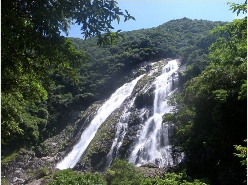 [Kagoshima Yakushima] waterfall tour and all round around the island! [About 7 hours]の紹介画像