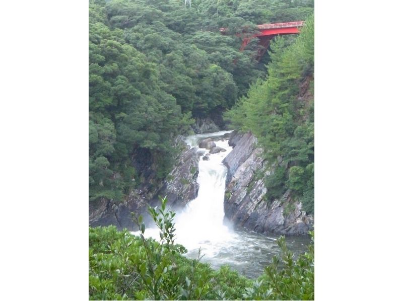 [Kagoshima Yakushima] waterfall tour and all round around the island! [About 7 hours]の紹介画像
