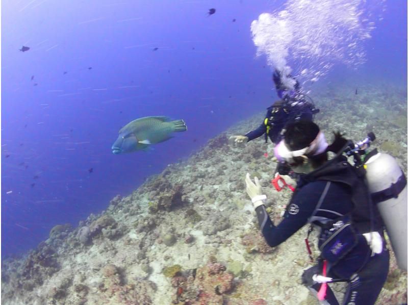 [Tokyo] Overseas: "3-day diving license course" at a Maldives resortの紹介画像