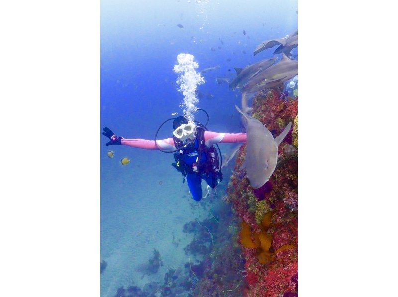 [Chiba] A 2-night, 2-day stay in Izu, leaving after work at night. "Diving license course 2 (3) days"の紹介画像