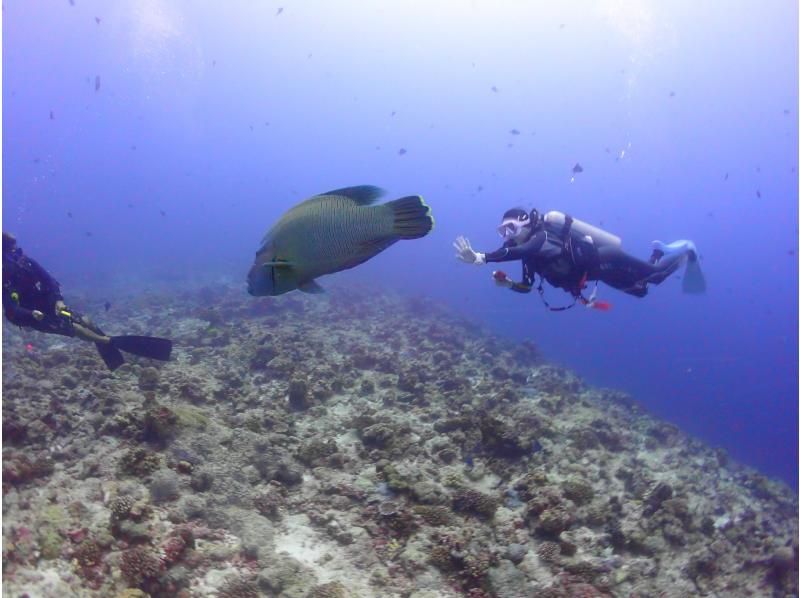 [Osaka] Overseas: 3-day diving license course at an authentic Maldives resortの紹介画像