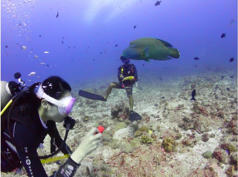 [Osaka] Overseas: 3-day diving license course at an authentic Maldives resortの紹介画像