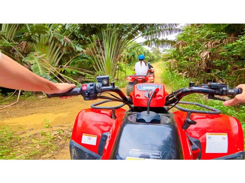 【バギー体験2島めぐり】西表島バギー体験と由布島＜約6時間／昼食付／E-2B＞の紹介画像