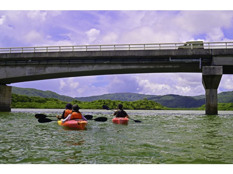【カヌー体験3島めぐり】西表島ちょっぴりカヌー体験と由布島＋選べる竹富島観光＜7時間～／昼食付／E-3C＞の紹介画像