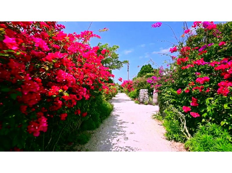【カヌー体験3島めぐり】西表島ちょっぴりカヌー体験と由布島＋選べる竹富島観光＜7時間～／昼食付／E-3C＞の紹介画像