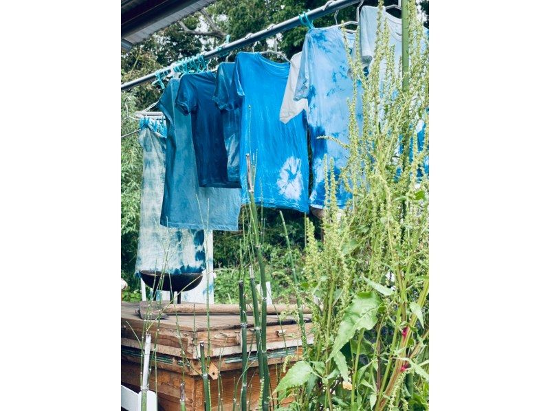 【神奈川・茅ヶ崎市】憧れの湘南ライフに秘められたサステナブルに触れる大人旅～BENIRINGOと巡る衣食住編～の紹介画像