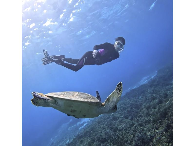 【1組貸切・少人数制・送迎あり】ウミガメスキンダイビング体験！ツアー後ドローン撮影あり？⭐️元USJダンサー⭐️エンターテイナー型ツアー！の紹介画像