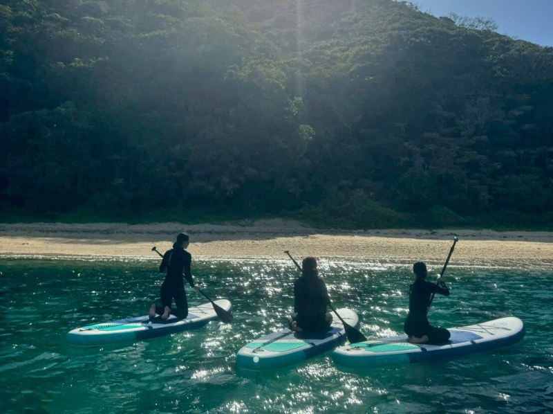 【奄美大岛 - 浮潜 & 立桨冲浪】【冬季也舒适！！】海龟观赏和海上立桨冲浪休闲之旅（提供热水淋浴和潜水服/包含照片）の紹介画像
