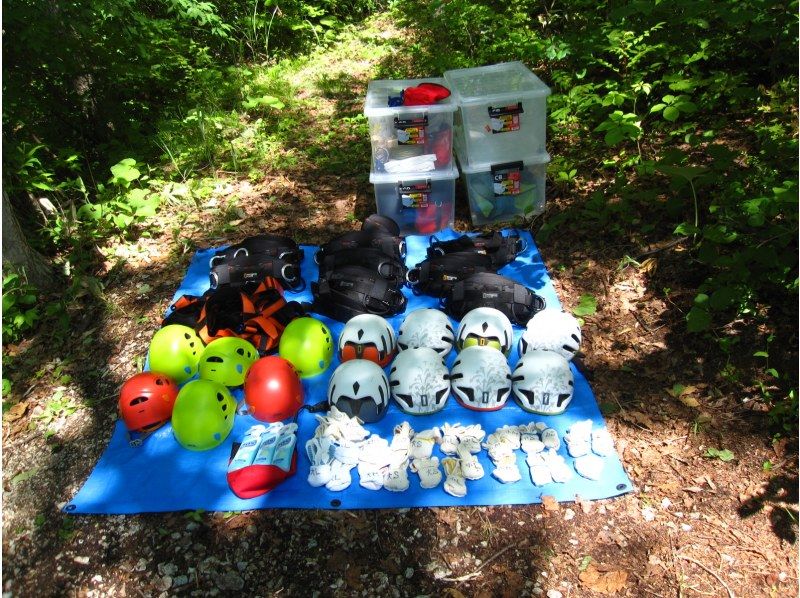 【東北・山形県】朝日町・のんぽかの森ツリーイング体験☆有資格ガイドがご案内する木のぼりツアー。装備レンタル、保険込み、写真データ無料！の紹介画像