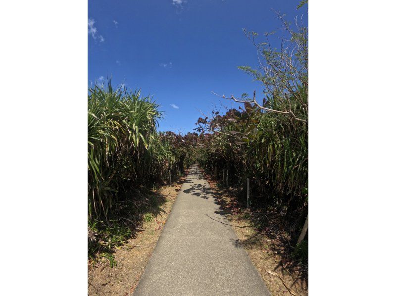 【宮古島/レンタカー不要】人気スポット&フォトツアー！！一眼レフ、ドローン撮影付き★送迎無料！の紹介画像