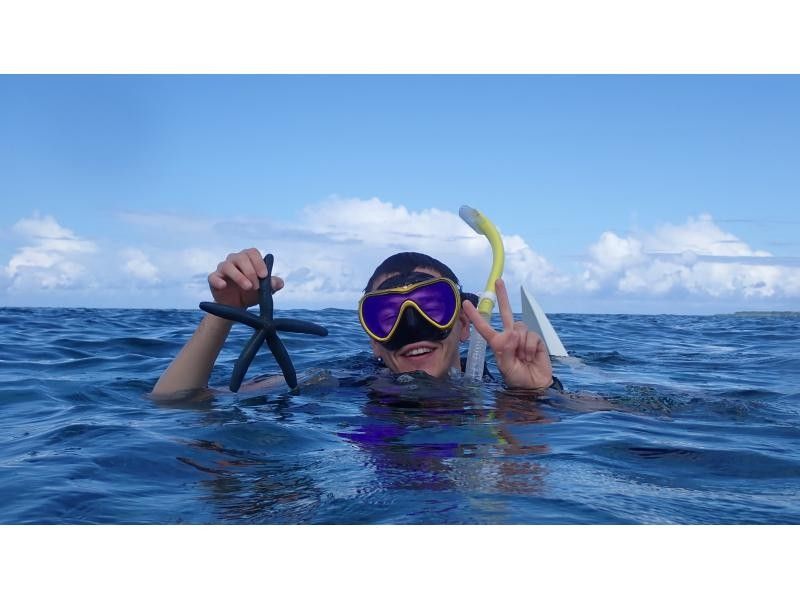 <十一月限定优惠>【冲绳北部，本部～濑底岛～民那岛，偏远岛屿浮潜】全县最清澈的海水！偏远岛屿2小时浮潜体验の紹介画像