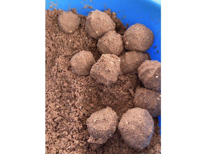 【筏でボラ釣り】〝手ぶらでOK〟吸込み釣りで強烈な引きを体験しよう　 ＊手ぶらでOK・インストラクターも同行！の紹介画像