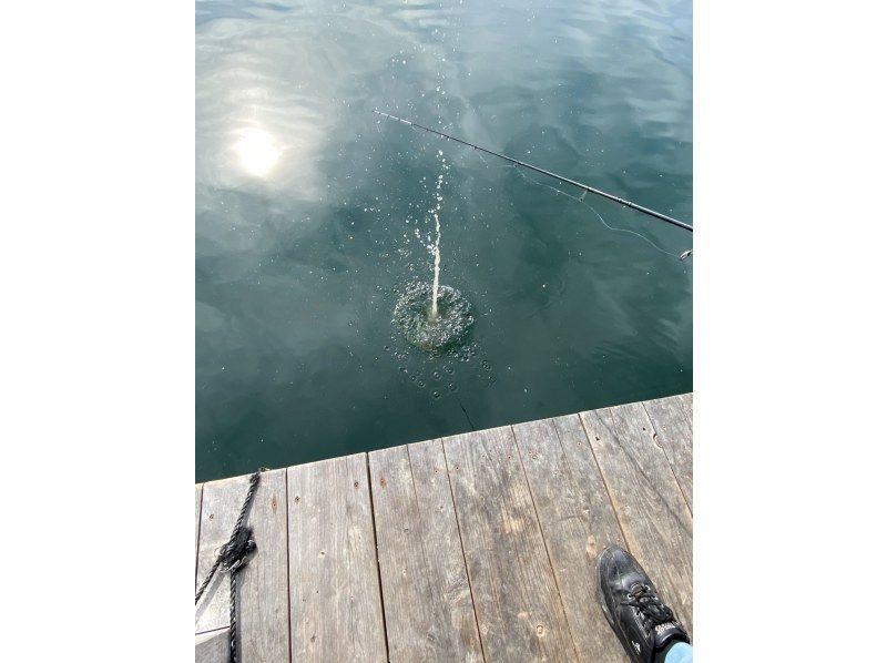 【筏でボラ釣り】〝手ぶらでOK〟吸込み釣りで強烈な引きを体験しよう　 ＊手ぶらでOK・インストラクターも同行！の紹介画像