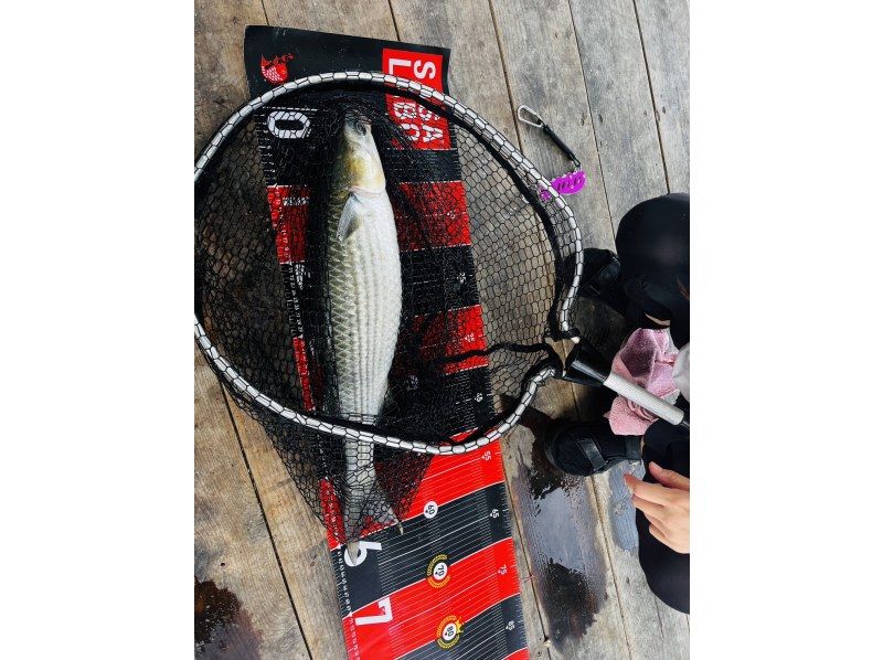 【筏でボラ釣り】〝手ぶらでOK〟吸込み釣りで強烈な引きを体験しよう　 ＊手ぶらでOK・インストラクターも同行！の紹介画像