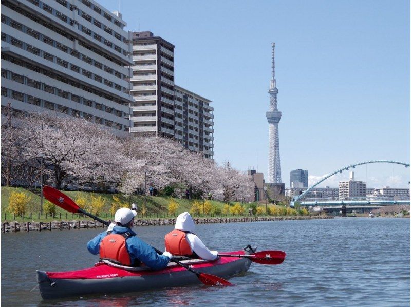 【東京 桜 カヤック】 お花見カヤックツアー　♪桜&times;スカイツリーの絶景をお楽しみください。の紹介画像