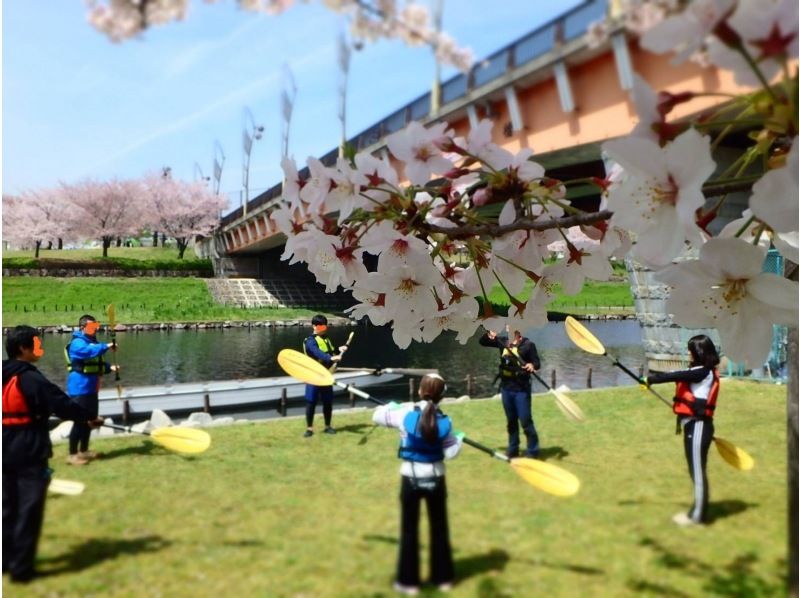 【東京 桜 カヤック】 お花見カヤックツアー　♪桜&times;スカイツリーの絶景をお楽しみください。の紹介画像