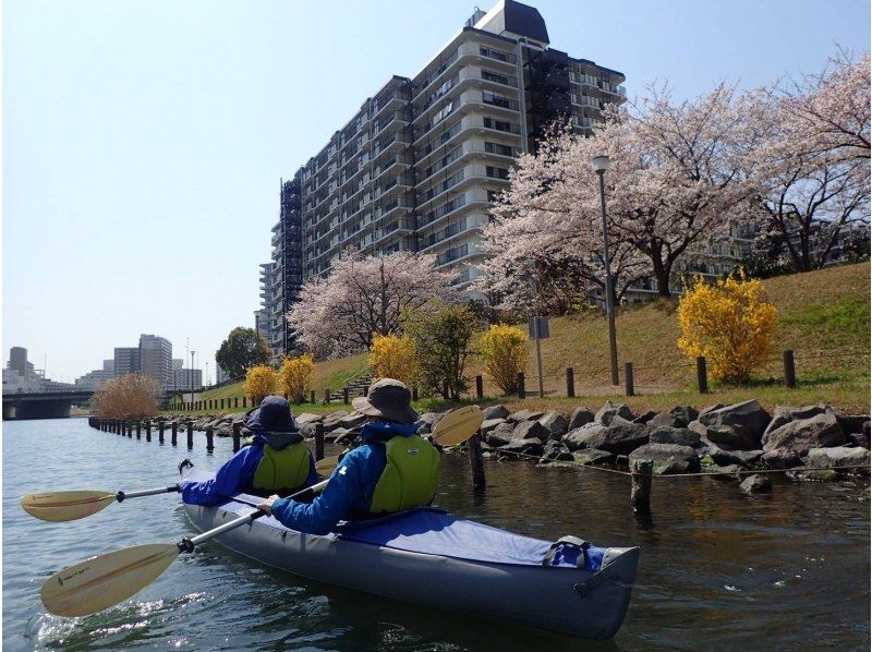 【東京 桜 カヤック】 お花見カヤックツアー　♪桜&times;スカイツリーの絶景をお楽しみください。の紹介画像