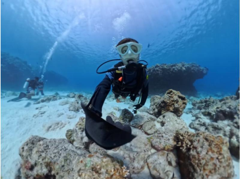 【那覇発・慶良間諸島・送迎可】半日で大満喫！体験ダイビング２回コース＜初心者・お1人様も大歓迎＞ウミガメ遭遇チャンス大の紹介画像