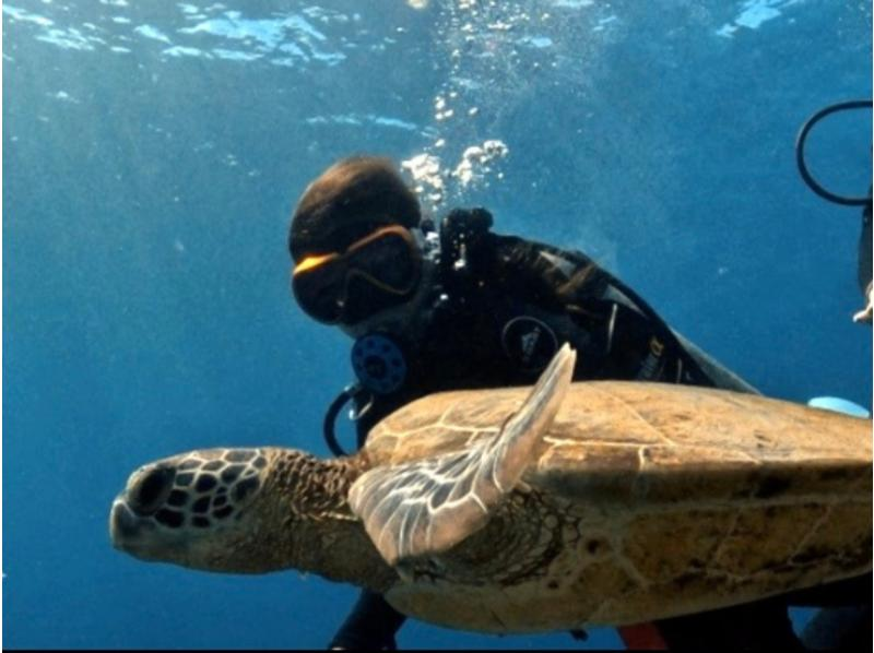 【慶良間・送迎あり】水中写真・動画プレゼント！☆お1人様も大歓迎☆初心者体験ダイビング半日（１回コース）の紹介画像