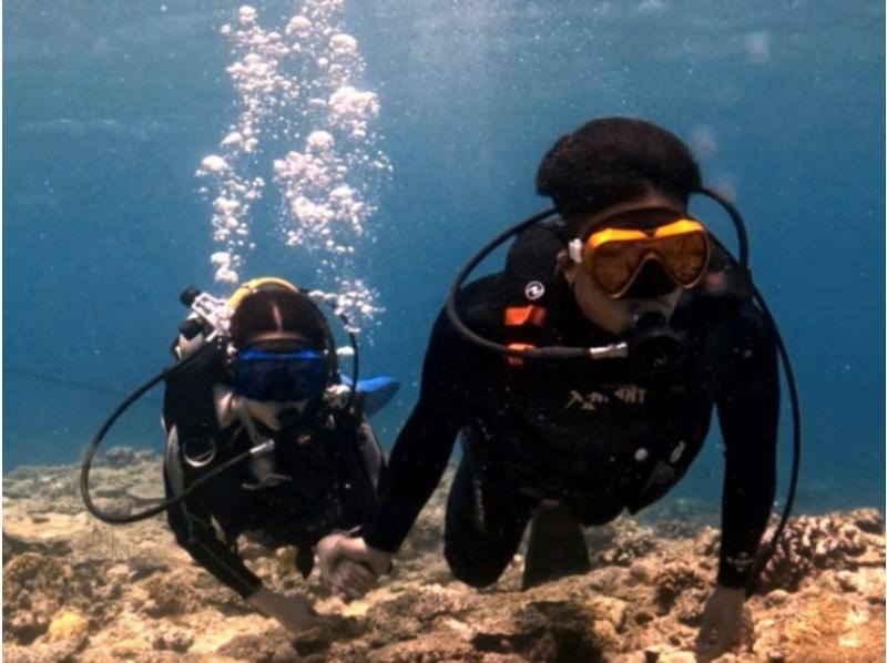 【慶良間・送迎あり】水中写真・動画プレゼント！☆お1人様も大歓迎☆初心者体験ダイビング半日（１回コース）の紹介画像