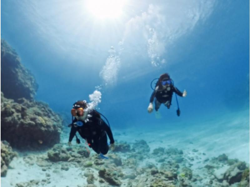 【慶良間・送迎あり】大満喫の2回！水中写真・動画プレゼント！☆お1人様も大歓迎☆（半日）初心者体験ダイビングの紹介画像