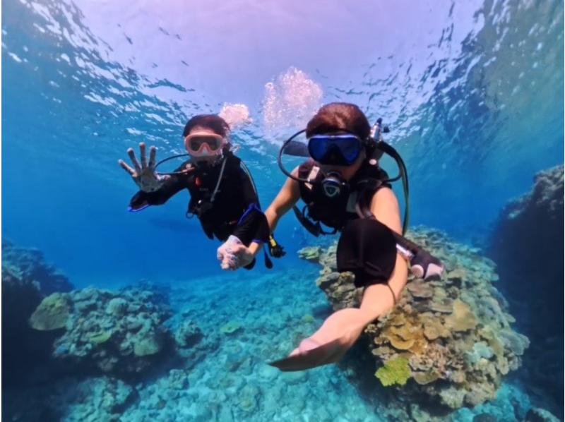 【慶良間・送迎あり】大満喫の2回！水中写真・動画プレゼント！☆お1人様も大歓迎☆（半日）初心者体験ダイビングの紹介画像
