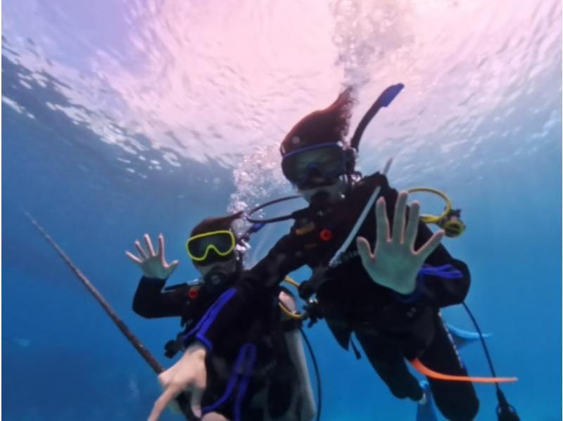 【慶良間・送迎あり】大満喫の2回！水中写真・動画プレゼント！☆お1人様も大歓迎☆（半日）初心者体験ダイビングの紹介画像