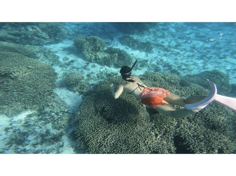 【쿠메지마・오쿠노하마】시승! 현지에서 태어나 자란 우민추가 안내하는 절경 스노클링! (핀・마스크 대여 무료) 쇼트 플랜の紹介画像