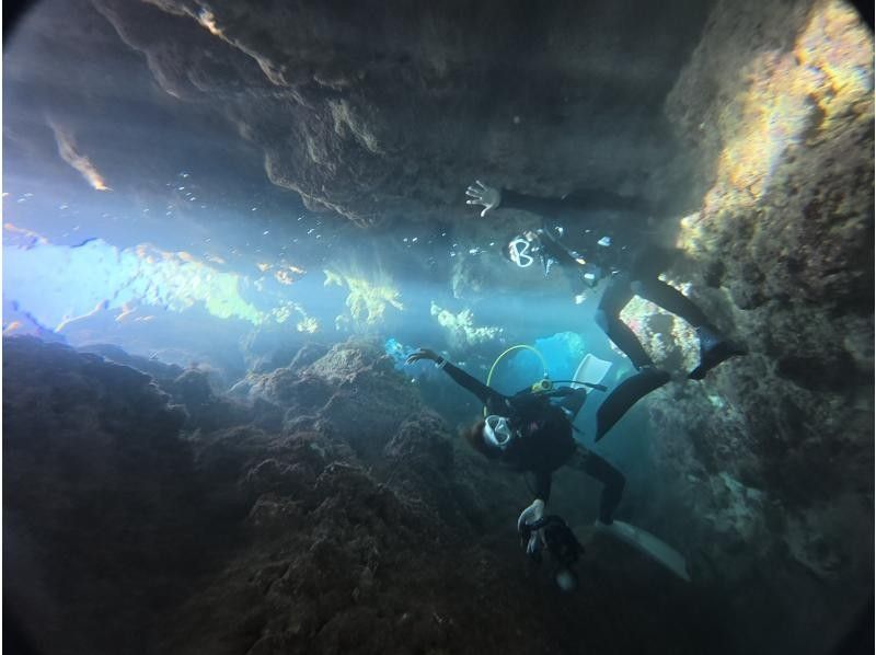限时特惠！【冲绳北部 - 本部 - 濑底岛 - 美那岛 - 偏远岛屿潜水 / 2小时行程】全县能见度最高！即使是初学者也能安心体验潜水乐趣！の紹介画像