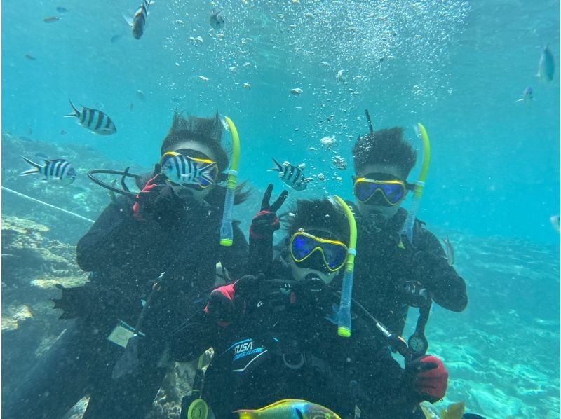 限时特惠！【冲绳北部 - 本部 - 濑底岛 - 美那岛 - 偏远岛屿潜水 / 2小时行程】全县能见度最高！即使是初学者也能安心体验潜水乐趣！の紹介画像