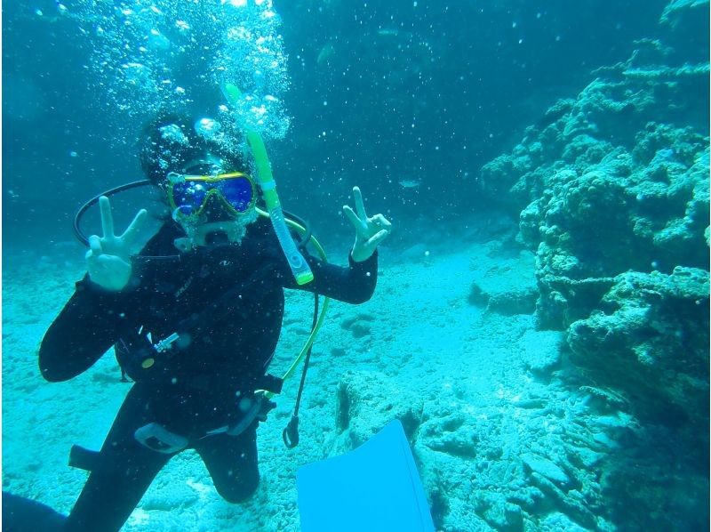 限时特惠！【冲绳北部本部县濑底岛-米纳岛-休闲潜水】全县最清澈的海水！持证潜水员可享2次潜水/3小时套餐の紹介画像