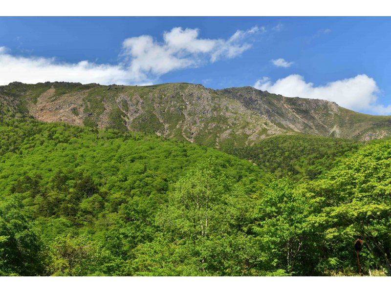 【岩手・花巻】元消防士がガイドをする早池峰山・四季のトレッキングツアー（花巻周辺駅からの無料送迎）の紹介画像