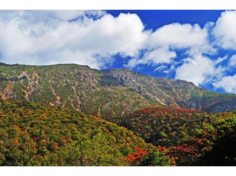 【岩手・花巻】元消防士がガイドをする早池峰山・四季のトレッキングツアー（花巻周辺駅からの無料送迎）の紹介画像