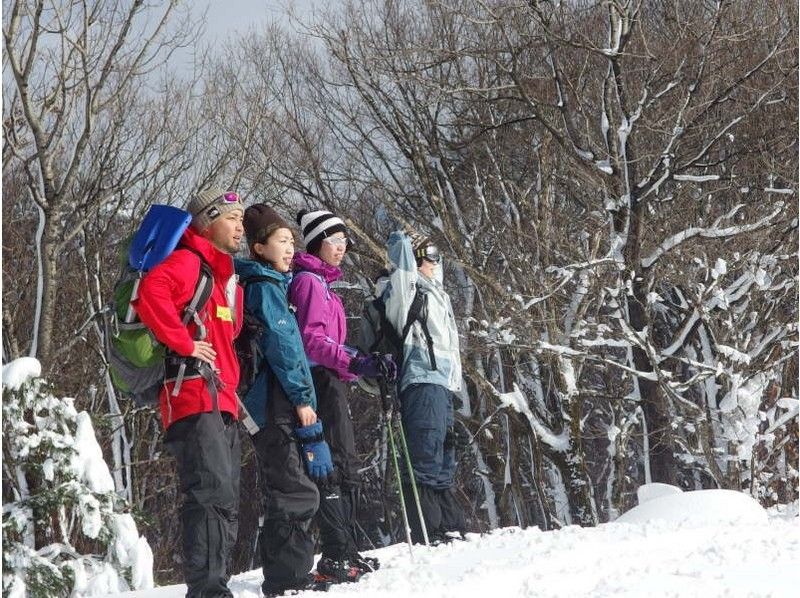 [Hyogo, Tajima] Go with a guide! Private snowshoe tour! Cafe time included (half-day course) Ages 6 and up Pets allowed/photo serviceの紹介画像