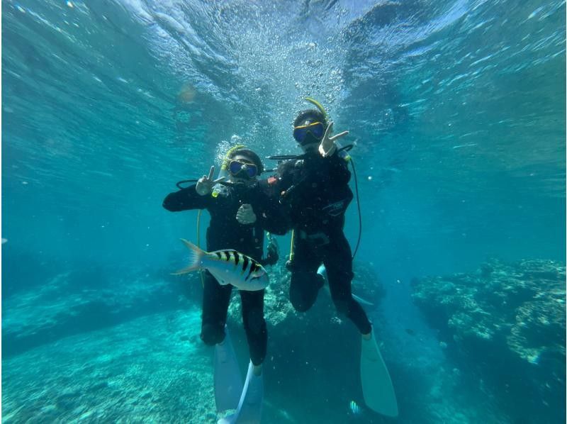 早鸟预订活动！【冲绳北部，本部～濑底岛～美那岛，离岛潜水/2小时行程】全县能见度最高！即使是初学者也能安心体验潜水乐趣！の紹介画像