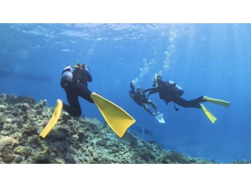 早鸟预订优惠！【冲绳北部，本部县～濑底岛～美那岛～休闲潜水】全县最佳能见度！持证潜水员3小时2潜套餐の紹介画像