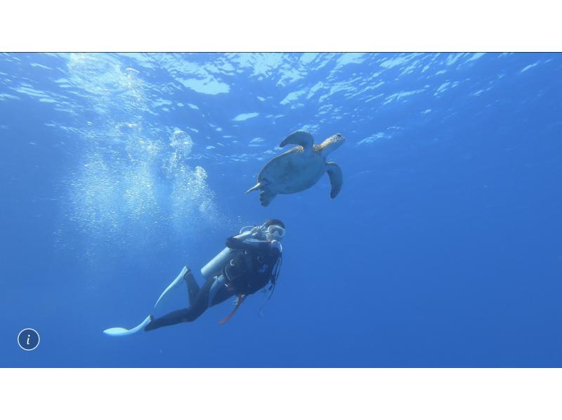 【오키나와 · 게라마】 게라마 3 보트 팬 다이브の紹介画像