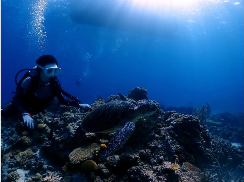 【那覇発・半日・送迎あり】お1人様も大歓迎！初心者体験ダイビング１回コース★抜群の透明度！水中の写真・動画プレゼントの紹介画像