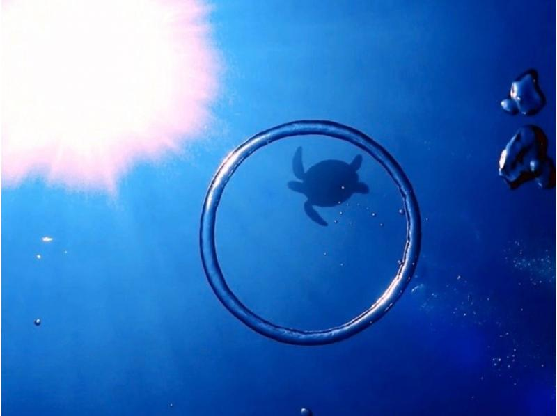 【慶良間・送迎あり】水中写真・動画プレゼント！☆お1人様も大歓迎☆初心者体験ダイビング(半日2回コース）の紹介画像