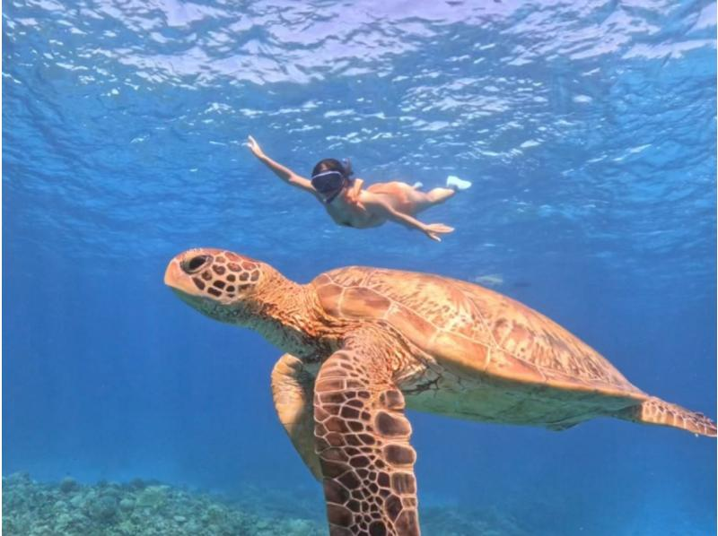 【那覇発・半日・送迎付き】初心者向けスキンダイビング★お1人様も大歓迎！快適ボートで慶良間諸島へ★安心のレクチャー付き！の紹介画像