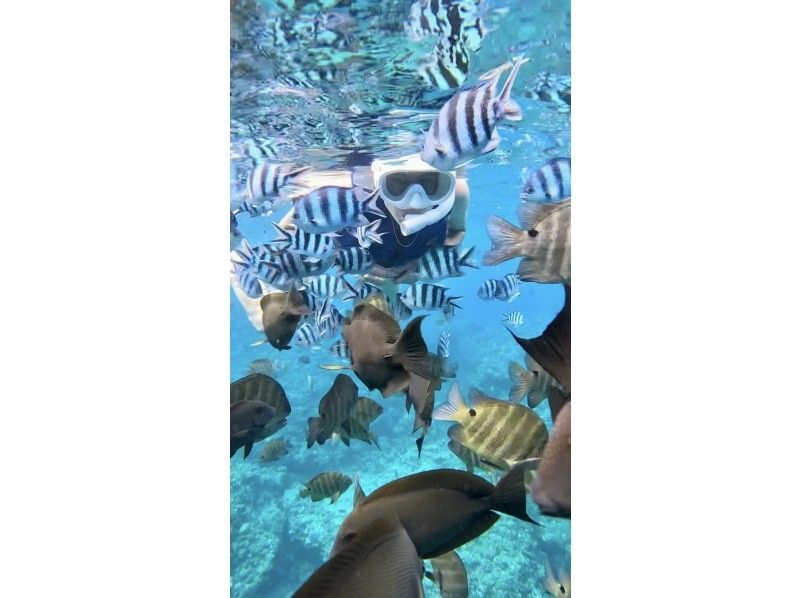 [Okinawa, Onna Village] Blue Cave Boat Snorkelingの紹介画像