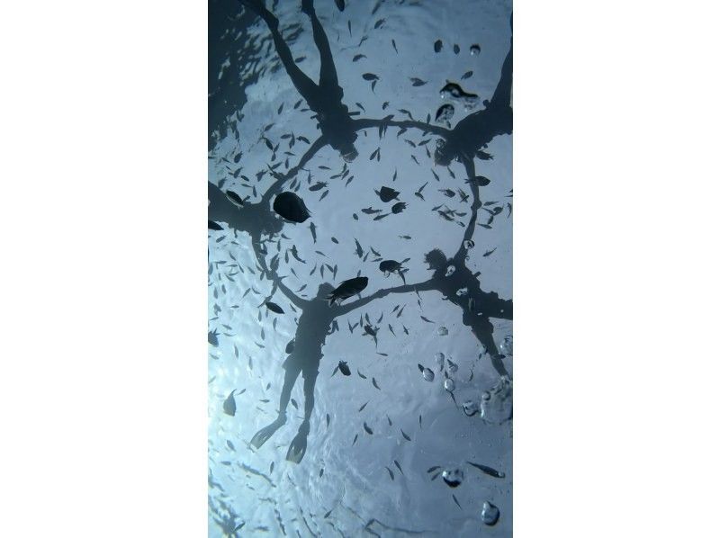 [Okinawa, Onna Village] Blue Cave Boat Snorkelingの紹介画像