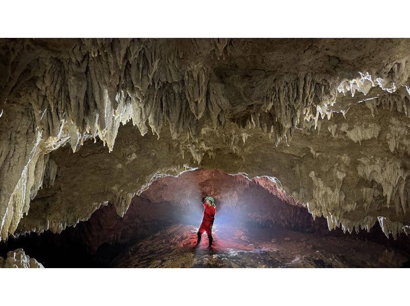 【石垣島本格ケイビング(洞窟探検/半日)】【白亜の神殿 未知なる世界へ挑む大冒険】【1名様OK!!】GoGoTourオリジナルコースの紹介画像