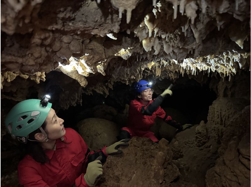 【石垣島本格ケイビング(洞窟探検/半日)】【白亜の神殿 未知なる世界へ挑む大冒険】【1名様OK!!】GoGoTourオリジナルコースの紹介画像
