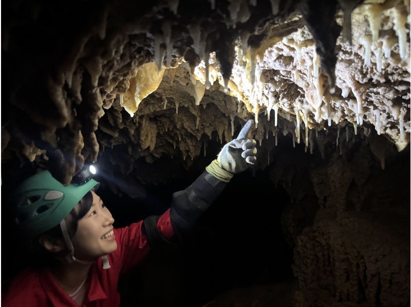 【石垣島本格ケイビング(洞窟探検/半日)】【白亜の神殿 未知なる世界へ挑む大冒険】【1名様OK!!】GoGoTourオリジナルコースの紹介画像