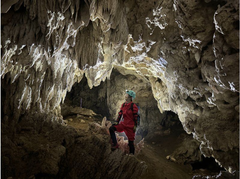 【石垣島本格ケイビング(洞窟探検/半日)】【白亜の神殿 未知なる世界へ挑む大冒険】【1名様OK!!】GoGoTourオリジナルコースの紹介画像